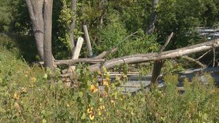 What's ahead at Nahant Marsh?