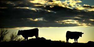 Week in Iowa: Three Republican property tax proposals in the air and how much each gubernatorial candidate raised in 2025