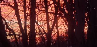 Quiet weather continues and so does the cold!