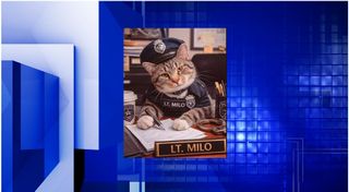 Lt. Milo joins West Burlington Police as therapy cat