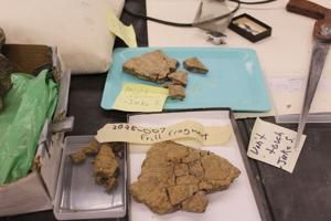 'A gateway into science': Augustana students help reconstruct dinosaur fossils for the Putnam