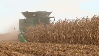 How labor shortages could impact Iowa farmers and communities