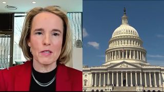 Illinois Republican wants voters to dream of Jeannie in U. S. Senate primary