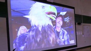 The Heart of the Story: Walk on the wild side