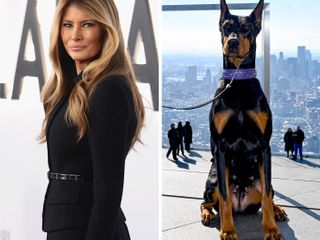 What does the CIA not want you to know? The quiz has the secret