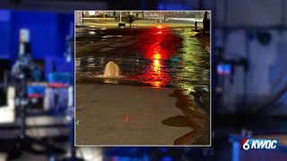  Large water main break on Tremont Avenue