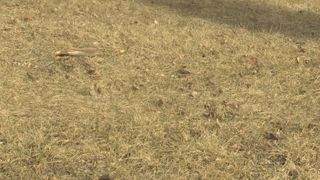 Lack of snow, moisture raises spring drought concerns