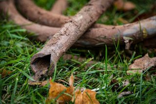 City of Moline set to replace 4,900 lead and galvanized pipes over a 10-year program