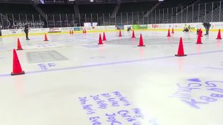  Quad City Storm to host annual Hockey Fights Cancer game 