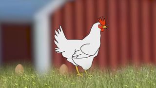 Those clucking egg prices as of 2/13/26 and answers to last Question of the Week