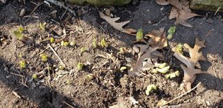 Very warm weather for most of this week in the Quad Cities