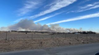 Vegetation fire burns across eastern Iowa counties, 558 lose power