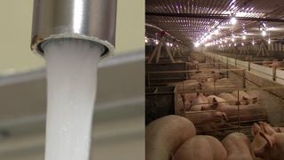 Not clear if Iowa Dems clean water proposal will get GOP consideration