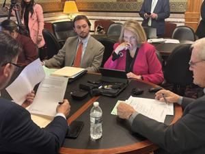 Iowa state Senate OKs use of SAVE to verify immigration statuses for public assistance, voter registration