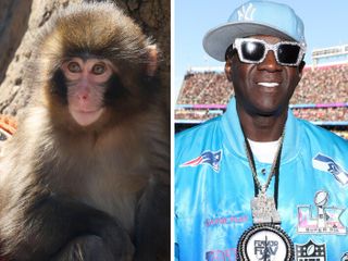 Forget the State of the Union. What's the state of your quiz score?