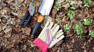  Muscatine Compost Facility to open in March 