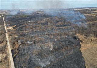 Volunteer firefighter arrested after 700-acre fire in Lee County wildlife area