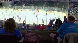 Make-A-Wish Illinois celebrates 40 years of wishes at the Quad City Storm