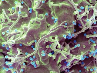 A new one-a-day-pill holds promise for HIV's 'forgotten population'