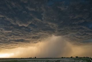 Rain and storm chances peak this week on Friday