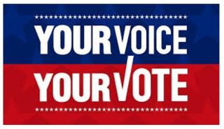 Early voting begins for general primary in Henry County