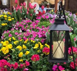 Flower & Garden Show brightens QCCA Expo Center