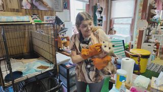  QC wildlife gets a second chance thanks to rehabilitators and a Facebook group