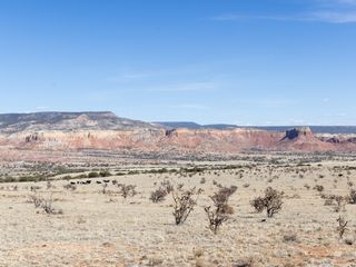 Reframing Georgia O'Keeffe's legacy and protecting the land she loved