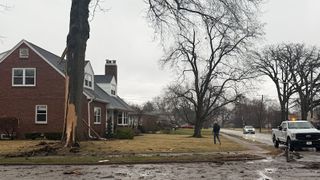  Lighting strikes tree, blows out windows Davenport homeowner says