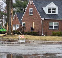 Lightning strike damages tree, windows in  Davenport's McClellan Heights area