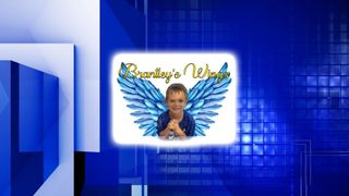 Paint party, stand-up comedy show planned to support Brantley's Wings