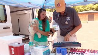 Quad City Animal Welfare Center hosts Mobile Vet Van