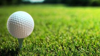  Palmer Hills Golf Course sees pair of celebrities on opening weekend 