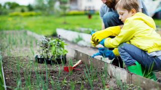  Don’t Plant Yet: Why April 21 Matters for Your Garden