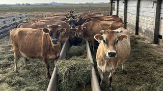  Raw milk proponents push for fewer restrictions on Illinois sales despite state health warnings