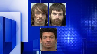 Three arrested in Dixon diesel theft