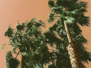 Her mother murdered her father in an infamous case. Now, she's telling her own story