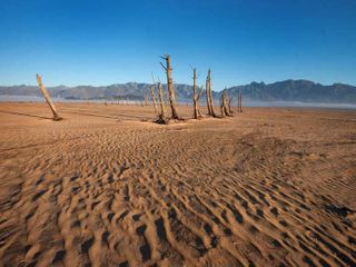 Here's some new dirt on an unusual source of antibiotic resistance