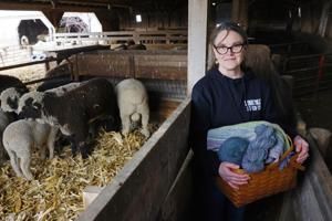 Gretchen at Work: From wool to woven at Leaf Livestock Wool Co.