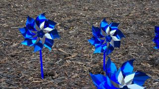 Pinwheel garden planted in Davenport for Child Abuse Prevention Month