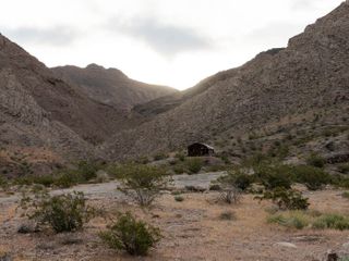 A botanist searches for the seeds of the rare Death Valley Sage
