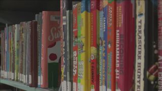 Iowa bill would allow civil lawsuits over access to some library material