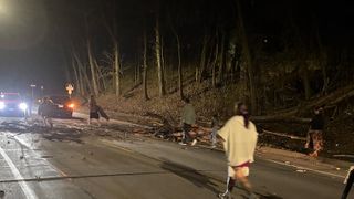  Tree falls on a street in Moline, blocking roadway
