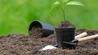  Iowa State develops AI tool to help farmers identify and remove pests