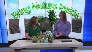 INTERVIEW: Bring nature inside