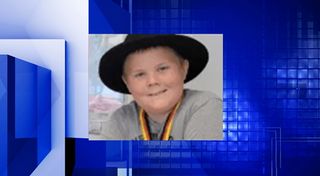 Meet baby emus at Cambridge Natural History Museum