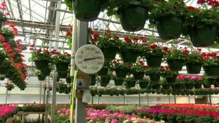 Wallace's Garden Center rebuilds greenhouse after fire in May 2025