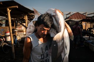 Photos: How overfishing in Southeast Asia is an ecological and human crisis