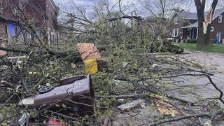 Lena Strong Community Fund to support storm relief efforts