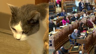 Tougher animal torture law in Iowa in doubt despite broad agreement